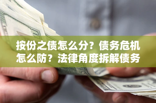 武汉按份之债怎么分？债务危机怎么防？法律角度拆解债务分配与风险自保指南