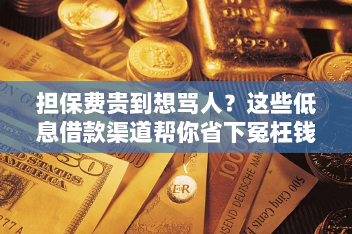 武汉担保费贵到想骂人？这些低息借款渠道帮你省下冤枉钱