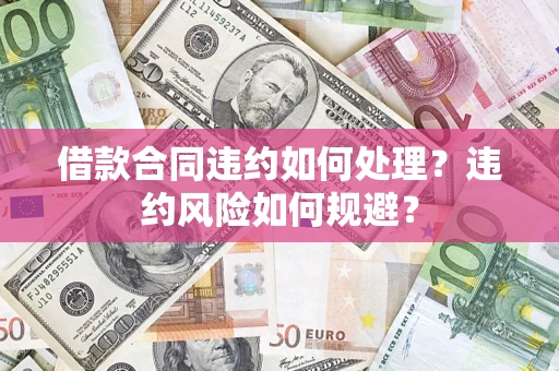 武汉借款合同违约如何处理？违约风险如何规避？