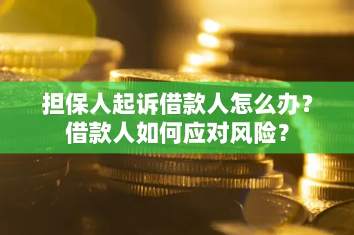 武汉担保人起诉借款人怎么办？借款人如何应对风险？