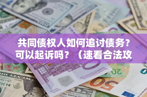 武汉共同债权人如何追讨债务？可以起诉吗？（速看合法攻略）