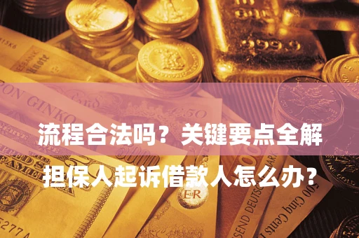 武汉

担保人起诉借款人怎么办？流程合法吗？关键要点全解析