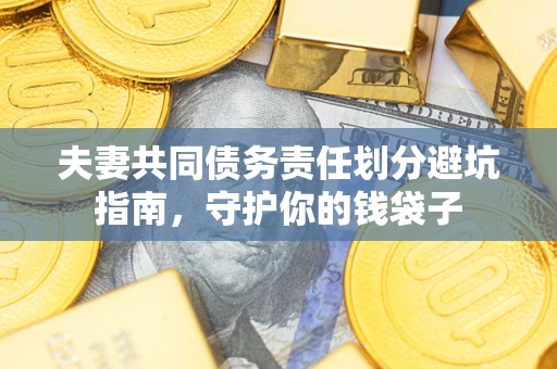 武汉夫妻共同债务责任划分避坑指南，守护你的钱袋子