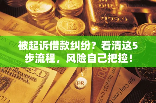 武汉被起诉借款纠纷？看清这5步流程，风险自己把控！