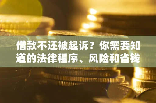 武汉借款不还被起诉？你需要知道的法律程序、风险和省钱技巧