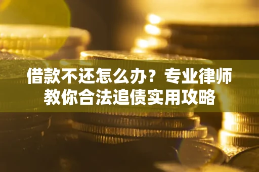 武汉借款不还怎么办？专业律师教你合法追债实用攻略