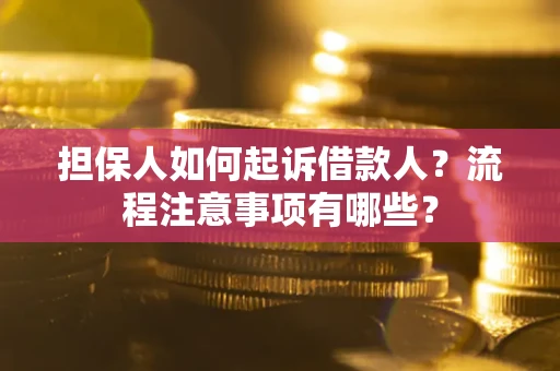 武汉担保人如何起诉借款人？流程注意事项有哪些？